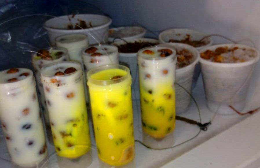 Ice rig sau momeala inghetata.